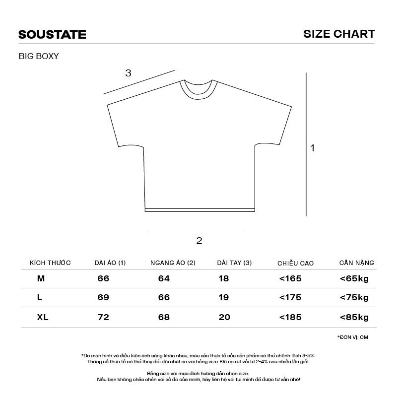 Áo Thun Big Boxy SOUSTATE "Ghost"