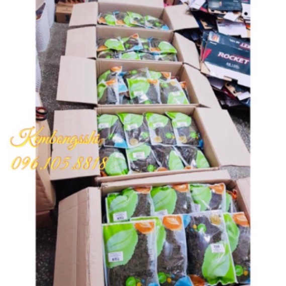 Trà hoa sâm Hàn Quốc, túi 500gr