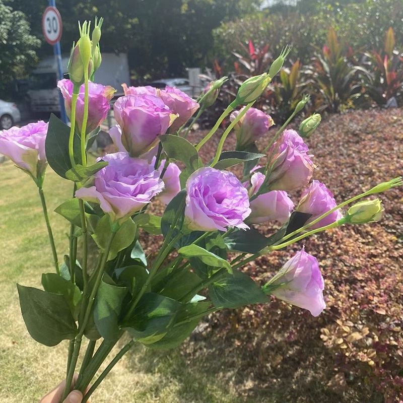 Hoa Giả Hoa Cát Tường, Cành Hoa Cát Tường Lụa Thân Cao Su Decor Cao Cấp