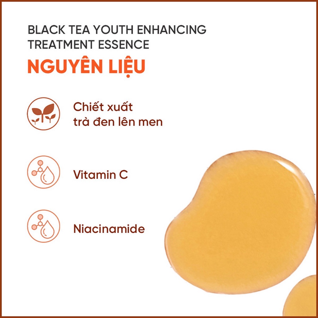 (Quà tặng) Bộ 3 nước dưỡng ngăn ngừa lão hóa trà đen innisfree Black tea Youth Enhancing Treatment Essence 25 mL