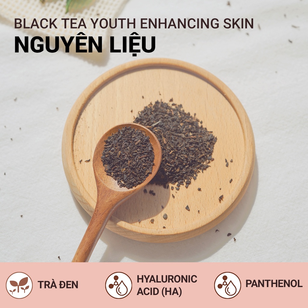 Nước cân bằng ngăn ngừa lão hóa từ trà đen innisfree Black Tea Enhancing Skin 170 mL