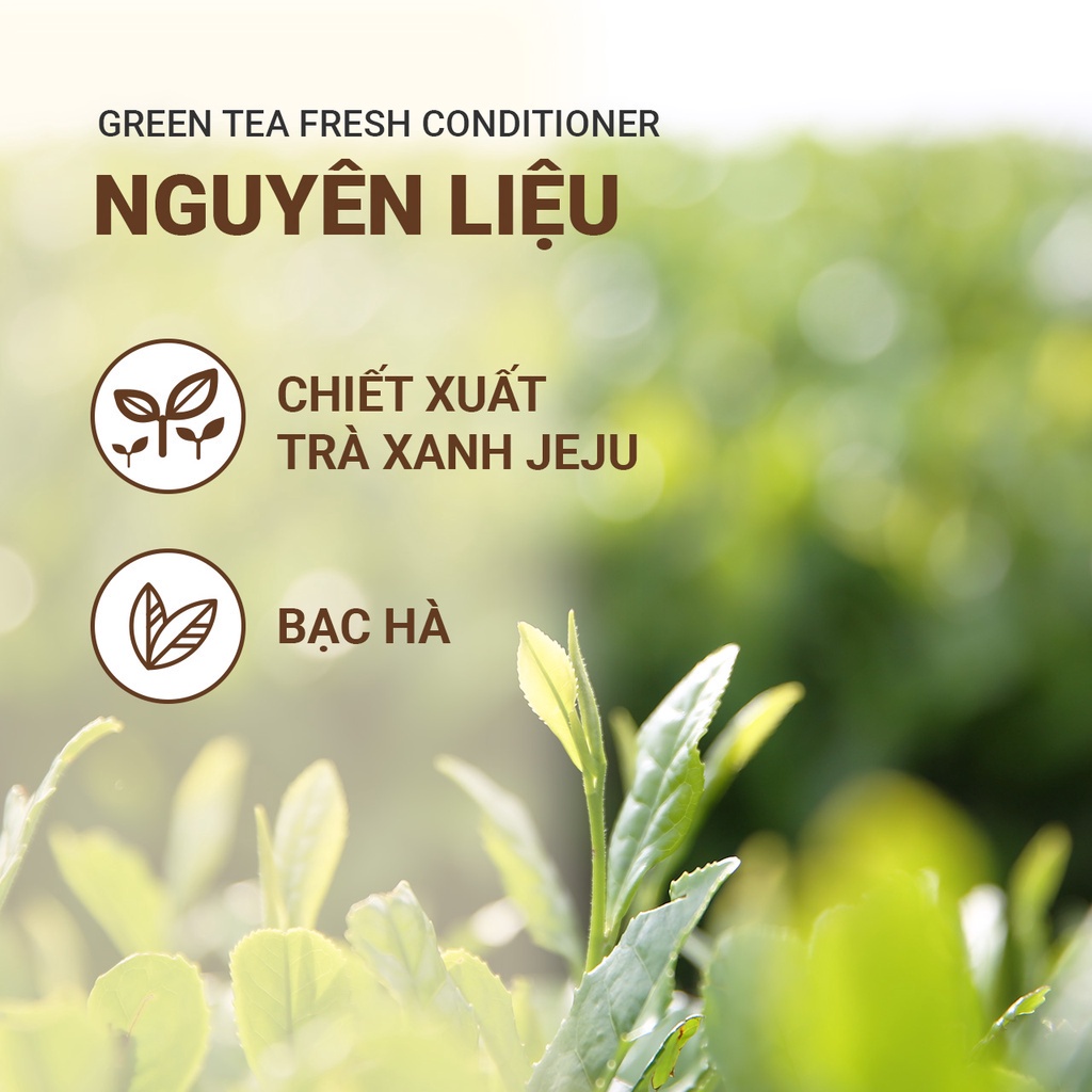 Dầu xả hương trà xanh innisfree Green Tea Fresh Conditioner 200 mL