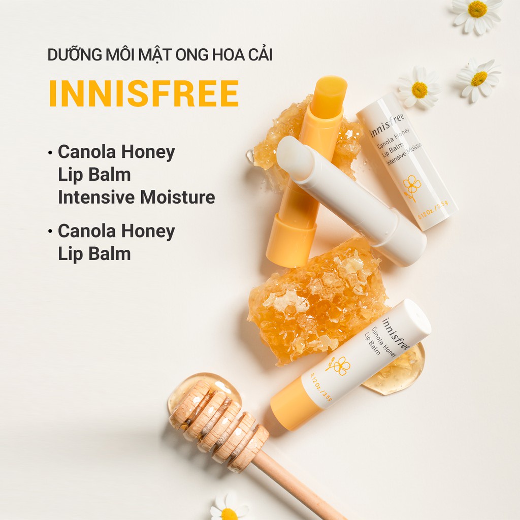 Son dưỡng môi không màu innisfree Canola Honey Lip Balm Deep Moisture 3.5g