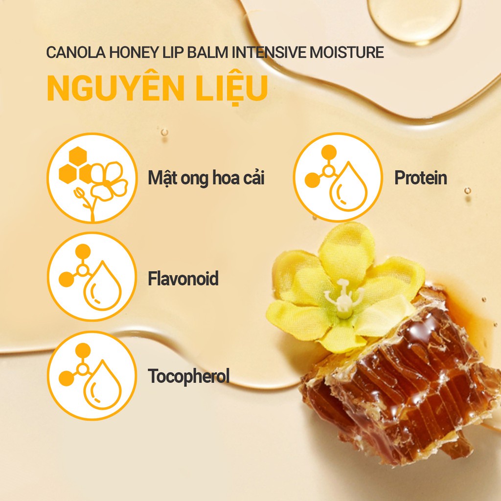 Son dưỡng môi không màu innisfree Canola Honey Lip Balm Deep Moisture 3.5g