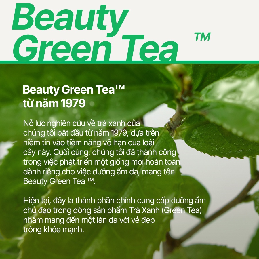 [Mã COSINNIJ - 8% đơn 250K] Sữa dưỡng ẩm từ trà xanh đảo Jeju Innisfree Green Tea hyaluronic lotion 170ml (NEW 2023)