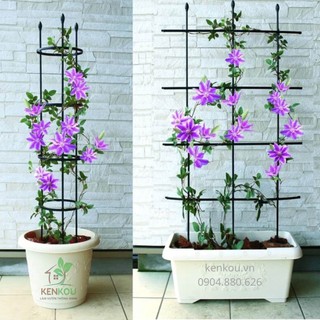 Giàn hoa leo đa năng đàn hồi Combo 2 bộ DAIM Nhật Bản - KENKOU - lõi thép bọc nhựa làm giàn các loại hoa leo