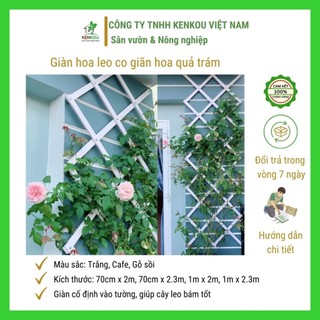 Bộ giàn hoa leo gắn tường gập khúc bằng nhựa composite giả gỗ trang trí tường, sân vườn