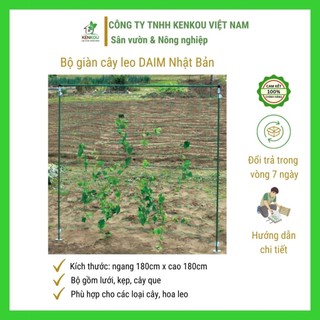 Giàn leo cho cây DAIM Nhật Bản Giàn lưới thẳng cho cây cà chua, dưa leo, dưa lưới... các loại cây leo khác