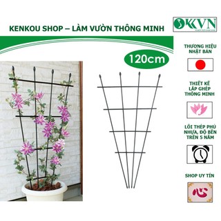 Shop Kenkou_Giàn hoa daim Nhật bản_Giàn hoa hình quạt lõi thép bọc nhựa _ hoa hồng, hoa giấy và các loại cây leo
