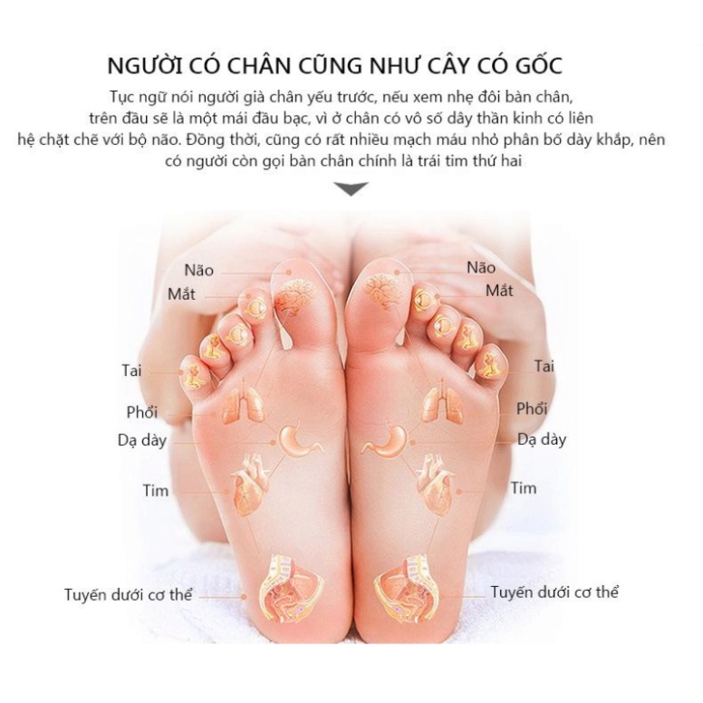 Máy massage chân bấm huyệt L06 bản cao cấp máy mát xa xoa bóp bàn chân tự động dành cho người già dân văn phòng