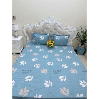 [SALES] GA (DRAP) COTTON CHẦN BÔNG 1M6, 1M8