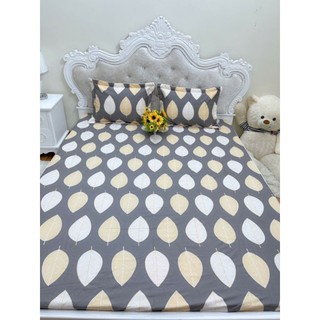 [SALES] GA (DRAP) COTTON CHẦN BÔNG 1M6, 1M8