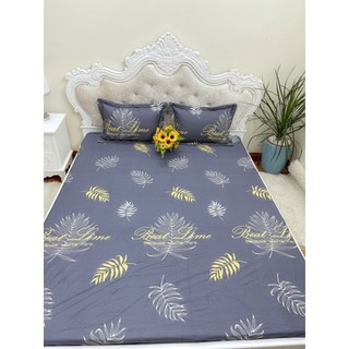 [SALES] GA (DRAP) COTTON CHẦN BÔNG 1M6, 1M8