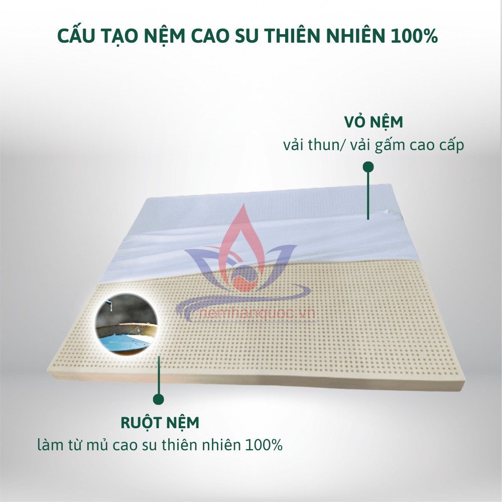 Nệm Cao Su Thiên Nhiên hàng trưng bày  size 1m4 x2m x10cm