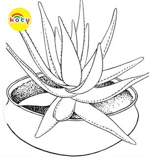 Tranh tô màu cây cảnh, thực vật - bộ 20 tờ tranh tô màu a4 a5 dành cho màu sáp, màu chì - tranh tô màu koty