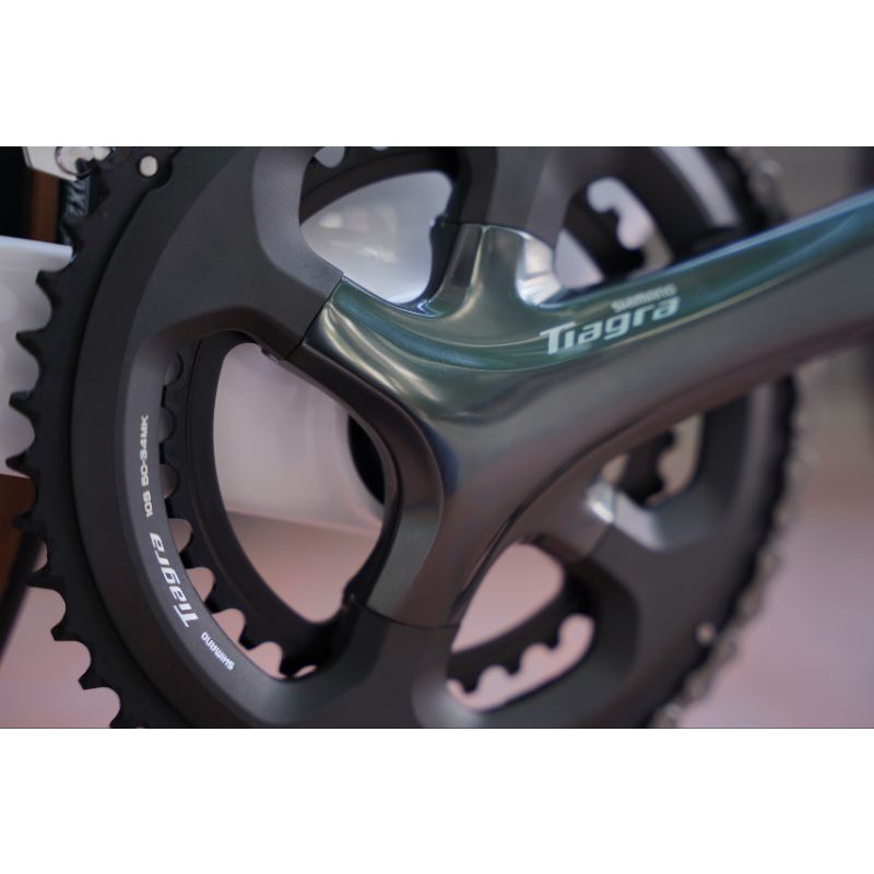 Xe Đạp Nesto Kangaroo | Full Carbon, Groupset Tiagra 4700