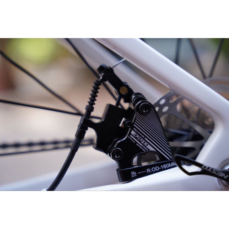 Xe Đạp Nesto Kangaroo | Full Carbon, Groupset Tiagra 4700