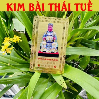 Kim bài thái tuế 2025 ất tỵ hóa giải phạm thái tuế tuổi tỵ - hợi - dần -thân ốp điện thoại, bỏ ví