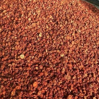 1kg táo mèo khô túi hút chân không