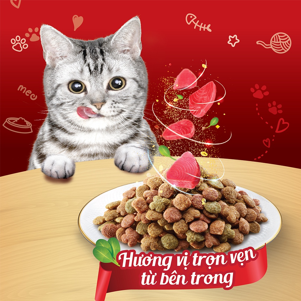Thức ăn hạt giảm nôn trớ  - hỗ trợ tiêu hóa cho mèo Silver Spoon Vị Cá ngừ 800g