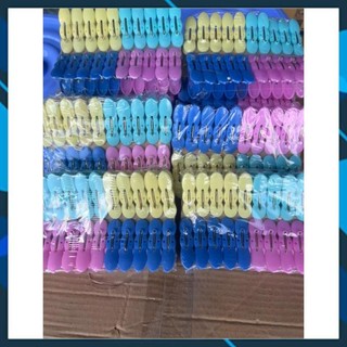 Combo 20 kẹp quần áo nhựa pp