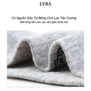 [Cao Cấp] Áo Giữ nhiệt - cổ tròn