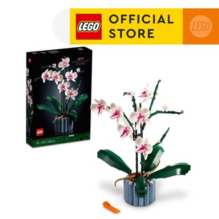 LEGO ADULTS Icons 10311 Hoa Lan LEGO (608 chi tiết)