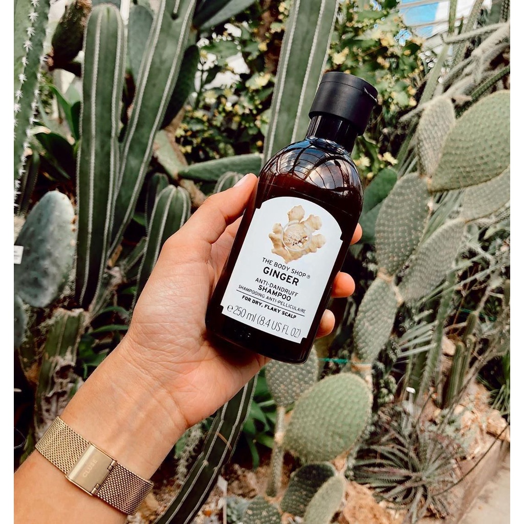 Dầu Gội, Xả Sạch Gàu Ginger Anti Dandruff Shampoo The Body Shop chiết xuất gừng tươi 250ML