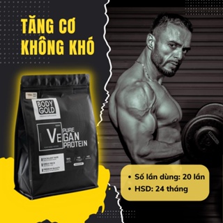 Vegan Protein Sữa Tăng Cân Tăng Cơ BodyGold