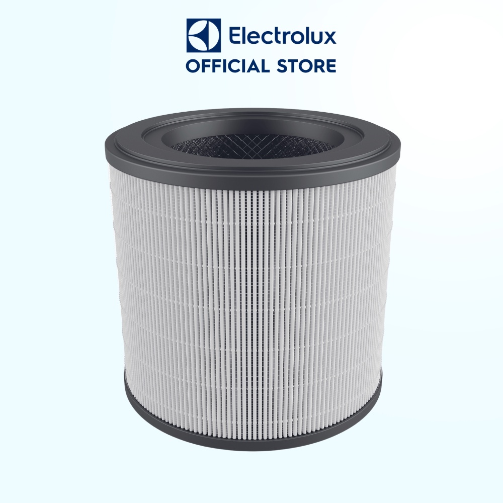 Bộ lọc không khí Electrolux FA31-202GY dòng A3 cùng với lọc than hoạt tính EFFCLN2