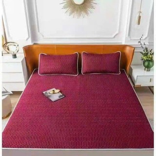 [ Giá Hủy Diệt ] Chiếu Điều Hòa Tencle Chun 4 góc Đệm ( tặng kèm 2 vỏ gối) hàng loại 1 nhập khẩu