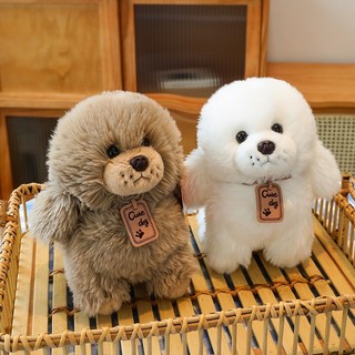 Gấu bông chó poodle - chó bông dễ thương cho bé gấu bông mina