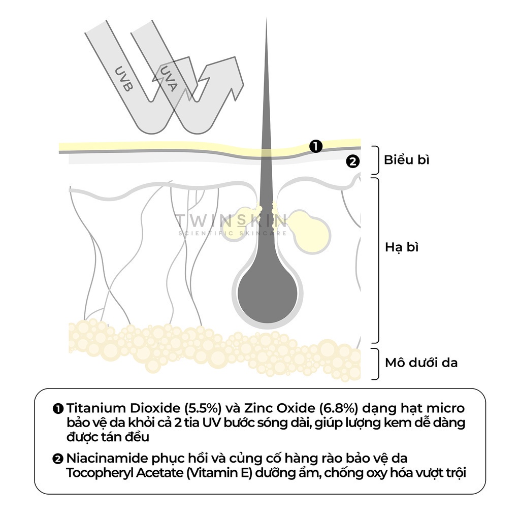 Daily UV Guardian SPF 32 PA+++ – Kem Chống Nắng Dịu Nhẹ Kháng Nước Twins Skin 50ml