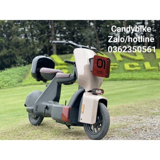 Xe đạp điện type one