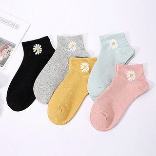 COMBO 10 Đôi Tất Gấu, Hoa Cúc Cổ Ngắn ( Khử Mùi , Thấm Mồ Hôi , Thoáng Khí )
