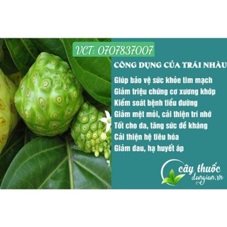 Lá nhàu tươi hữu cơ 500g