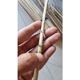 50 CẦN CÂU CẮM ẾCH CHUYÊN DỤNG