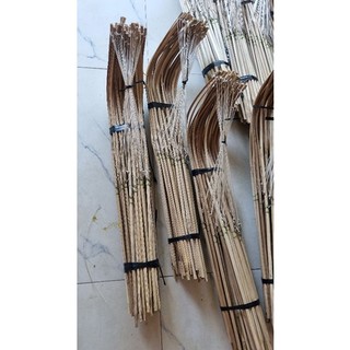 50 CẦN CÂU CẮM ẾCH CHUYÊN DỤNG