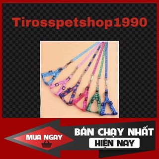 [❌GIÁ SỈ❌] DÂY DẮT CHO THÚ CƯNG CAO CẤP DƯỚI 2kg ❤️ ❤️