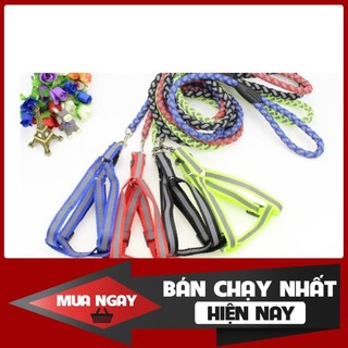 [❌GIÁ SỈ❌] [ Bán sỉ ] DÂY XÍCH CHÓ DÂY YẾM PHẢN QUANG ❤️