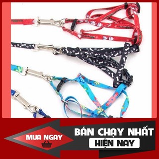 [❌GIÁ SỈ❌] [FREESHIP] Dây dắt chó mèo ( phát màu ngẫu nhiên) ❤️