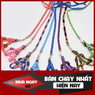 [❌GIÁ SỈ❌] [FREESHIP] Dây dắt chó mèo ( phát màu ngẫu nhiên) ❤️