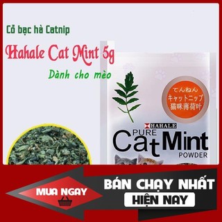 [❌GIÁ SỈ❌] Capnit ống cỏ bạc hà cho mèo ❤️
