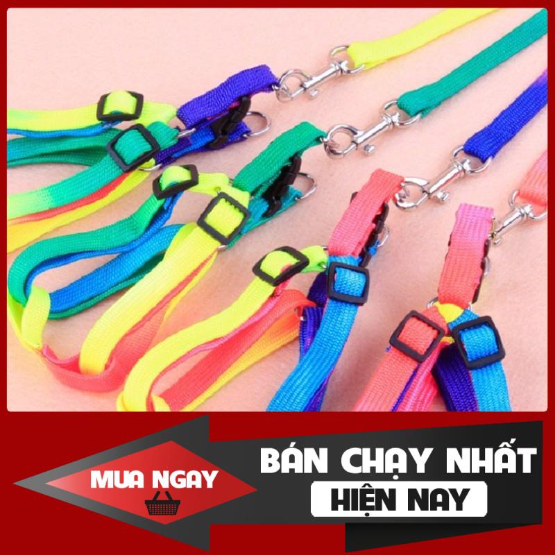 Dây dắt chó mèo 🧑 kèm vòng cổ cho chó mèo 🧑 dây bảy màu  ❤️