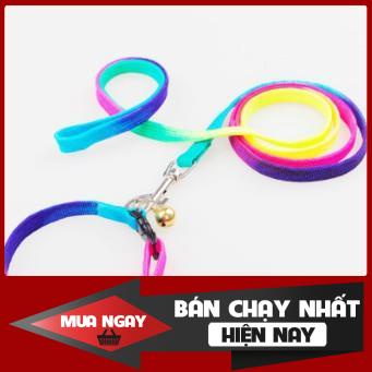 Dây dắt chó mèo 🧑 kèm vòng cổ cho chó mèo 🧑 dây bảy màu  ❤️