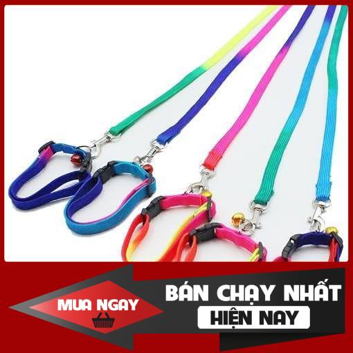 Dây dắt chó mèo 🧑 kèm vòng cổ cho chó mèo 🧑 dây bảy màu  ❤️