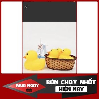[❌GIÁ SỈ❌] 🐥🐥ĐỒ CHƠI CHÓ MÈO -VỊT RUBBER CHÍP CHÍP🐤🐤  ❤️