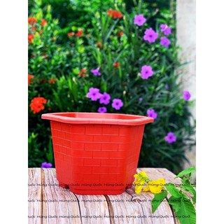 Combo 5 chậu nhựa trồng cây FA380 Đỏ