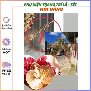 1 nhánh lẻ táo đồng, nhánh lẻ quạt đồng, lan đồng dùng trang trí oản tài lộc, tháp bánh, tháp nước, trang trí Tết