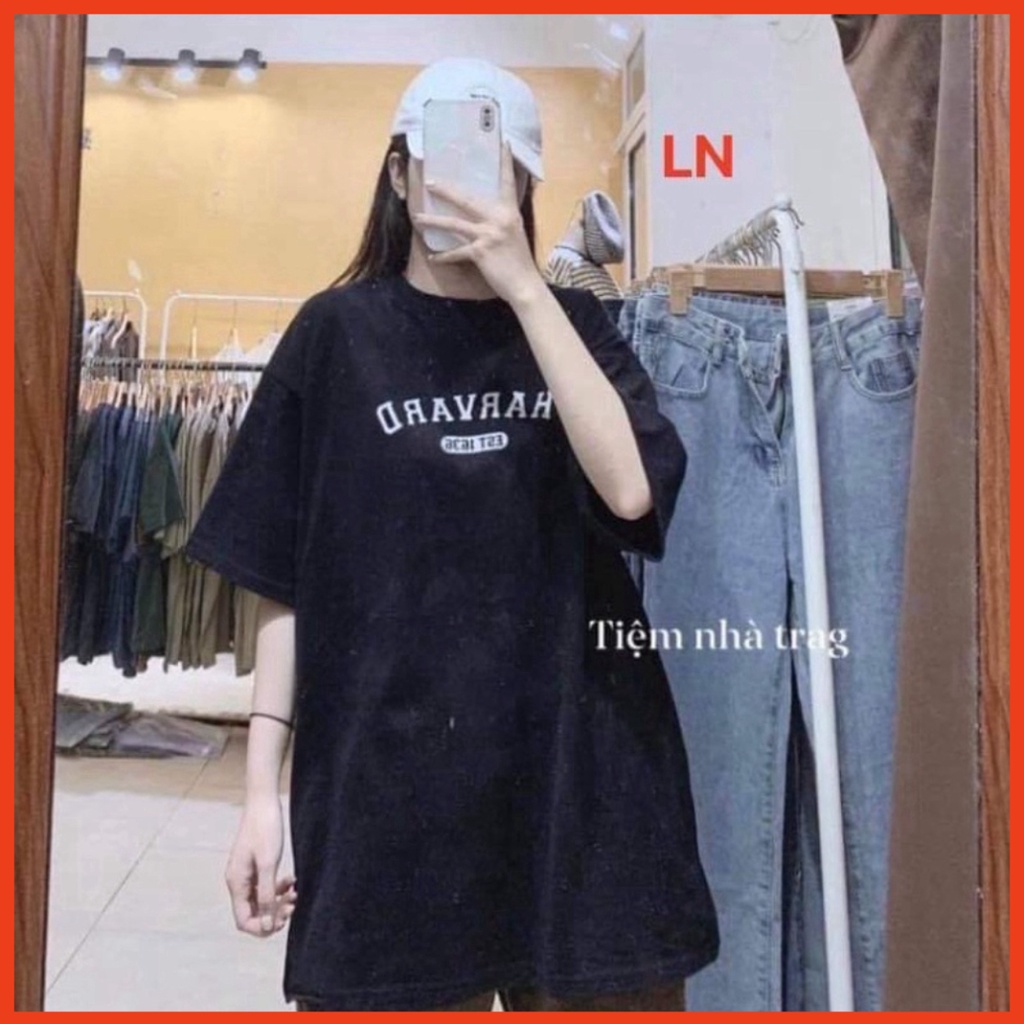 monmhp Áo phông Harvard DA6